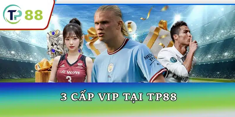 Hệ thống cấp VIP tại TP88 - Dịch vụ đặc quyền cho người chơi cao cấp